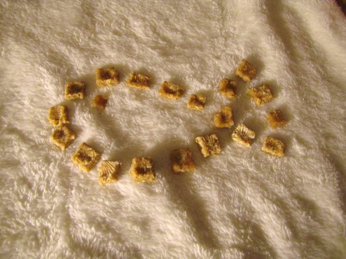Sample Size Wild King Salmon & Cinnamon Kitty Cat Treat