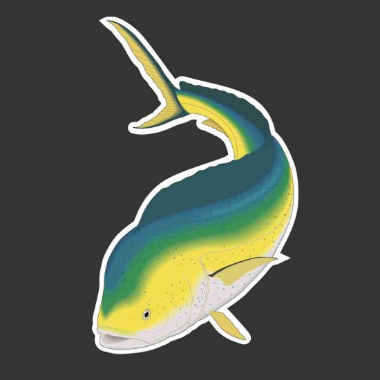 Mahi-Mahi, Dorado, Dolphin Fishing Decal