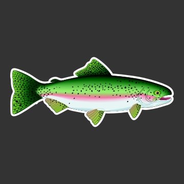 Rainbow Trout Fishing Decal