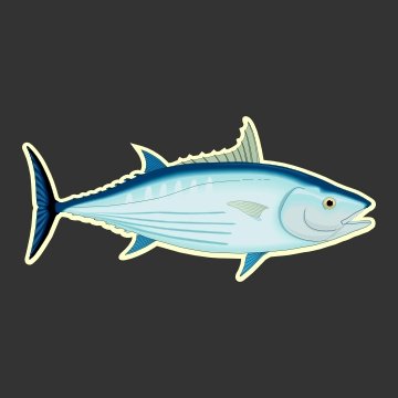 Skipjack