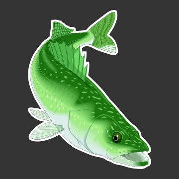 Walleye Fishing Decal