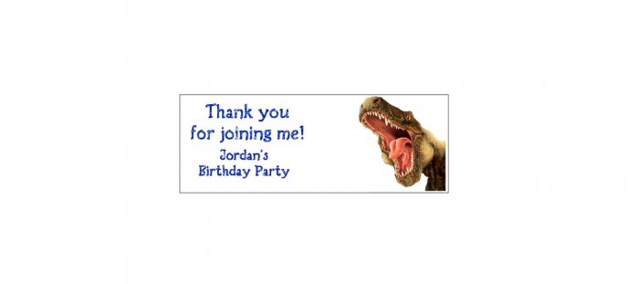 30 DINOSAUR Lollipop, Sucker Tags Labels, BIRTHDAY PARTY FAVORS