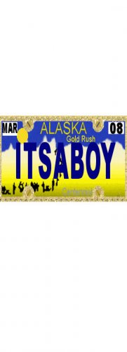 30 ALASKA License Plate BOY Baby Shower Candy Bar Wrappers Hershey's Nugget Labels Party Favors