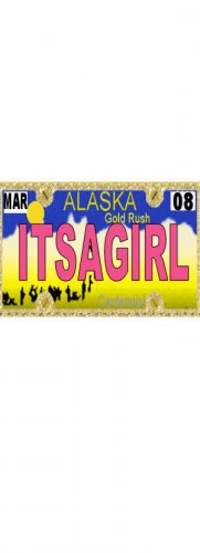 30 ALASKA License Plate GIRL Baby Shower Candy Bar Wrappers Hershey's Nugget Labels Party Favors