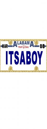 30 ALABAMA License Plate BOY Baby Shower Candy Bar Wrappers Hershey's Nugget Labels Party Favors