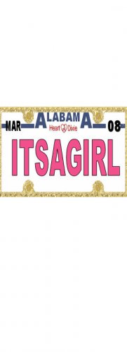 30 ALABAMA License Plate GIRL Baby Shower Candy Bar Wrappers Hershey's Nugget Labels Party Favors