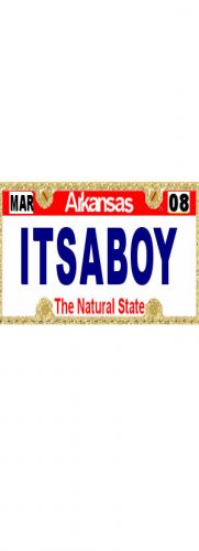 30 ARKANSAS License Plate BOY Baby Shower Candy Bar Wrappers Hershey's Nugget Labels Party Favors