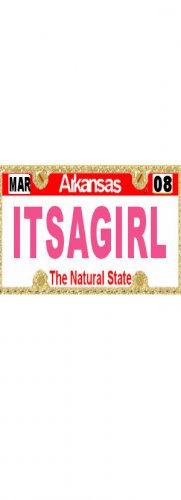 30 ARKANSAS License Plate GIRL Baby Shower Candy Bar Wrappers Hershey's Nugget Labels Party Favors