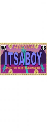 30 ARIZONA License Plate BOY Baby Shower Candy Bar Wrappers Hershey's Nugget Labels Party Favors