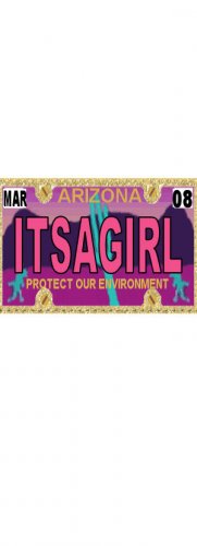 30 ARIZONA License Plate GIRL Baby Shower Candy Bar Wrappers Hershey's Nugget Labels Party Favors