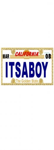 30 CALIFORNIA License Plate BOY Baby Shower Candy Bar Wrappers Hershey's Nugget Labels Party Favors