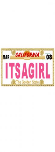 30 CALIFORNIA License Plate GIRL Baby Shower Candy Bar Wrappers Hershey's Nugget Labels Party Favors