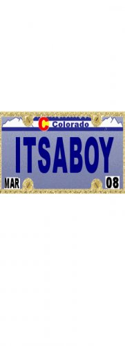 30 COLORADO License Plate BOY Baby Shower Candy Bar Wrappers Hershey's Nugget Labels Party Favors