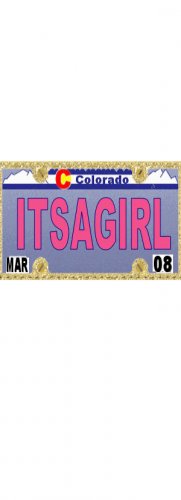 30 COLORADO License Plate GIRL Baby Shower Candy Bar Wrappers Hershey's Nugget Labels Party Favors