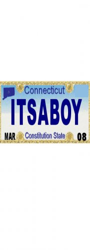 30 CONNECTICUT License Plate BOY Baby Shower Candy Bar Wrappers Hershey's Nugget Labels Party Favors