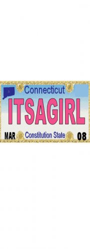30 CONNECTICUT License Plate GIRL Baby Shower Candy Bar Wrappers Hershey Nugget Labels Party Favors