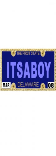 30 DELAWARE License Plate BOY Baby Shower Candy Bar Wrappers Hershey's Nugget Labels Party Favors