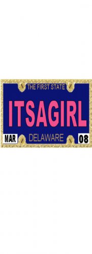 30 DELAWARE License Plate GIRL Baby Shower Candy Bar Wrappers Hershey's Nugget Labels Party Favors