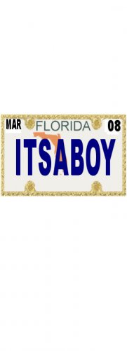 30 FLORIDA License Plate BOY Baby Shower Candy Bar Wrappers Hershey's Nugget Labels Party Favors