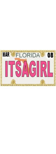30 FLORIDA License Plate GIRL Baby Shower Candy Bar Wrappers Hershey's Nugget Labels Party Favors