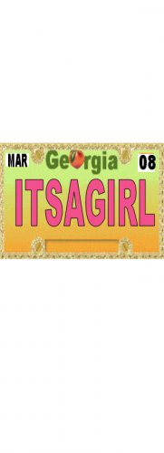 30 GEORGIA License Plate GIRL Baby Shower Candy Bar Wrappers Hershey's Nugget Labels Party Favors