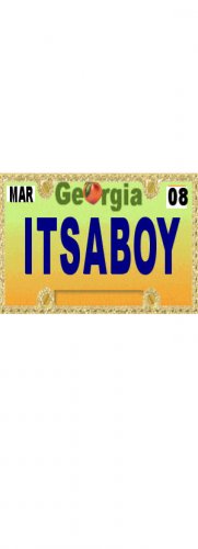 30 GEORGIA License Plate BOY Baby Shower Candy Bar Wrappers Hershey's Nugget Labels Party Favors