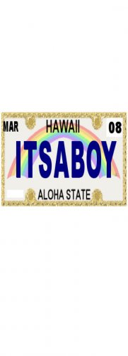 30 HAWAII License Plate BOY Baby Shower Candy Bar Wrappers Hershey's Nugget Labels Party Favors