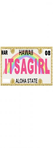 30 HAWAII License Plate GIRL Baby Shower Candy Bar Wrappers Hershey's Nugget Labels Party Favors