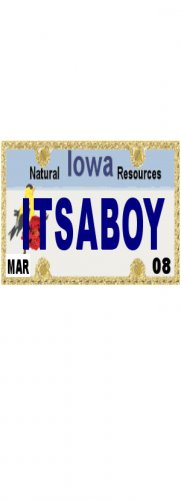 30 IOWA License Plate BOY Baby Shower Candy Bar Wrappers Hershey's Nugget Labels Party Favors