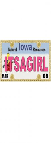 30 IOWA License Plate GIRL Baby Shower Candy Bar Wrappers Hershey's Nugget Labels Party Favors