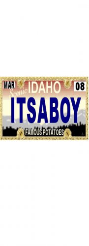 30 IDAHO License Plate BOY Baby Shower Candy Bar Wrappers Hershey's Nugget Labels Party Favors