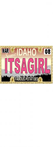 30 IDAHO License Plate GIRL Baby Shower Candy Bar Wrappers Hershey's Nugget Labels Party Favors