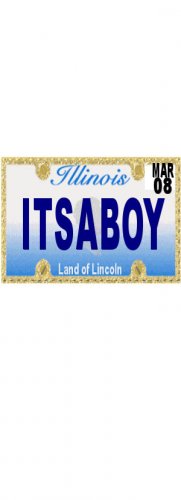 30 ILLINOIS License Plate BOY Baby Shower Candy Bar Wrappers Hershey's Nugget Labels Party Favors
