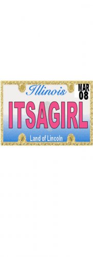 30 ILLINOIS License Plate GIRL Baby Shower Candy Bar Wrappers Hershey's Nugget Labels Party Favors