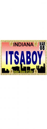 30 INDIANA License Plate BOY Baby Shower Candy Bar Wrappers Hershey's Nugget Labels Party Favors