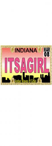 30 INDIANA License Plate GIRL Baby Shower Candy Bar Wrappers Hershey's Nugget Labels Party Favors