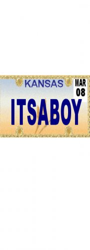30 KANSAS License Plate BOY Baby Shower Candy Bar Wrappers Hershey's Nugget Labels Party Favors