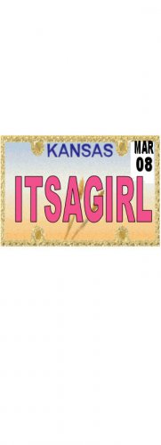 30 KANSAS License Plate GIRL Baby Shower Candy Bar Wrappers Hershey's Nugget Labels Party Favors