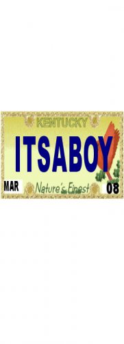 30 KENTUCKY License Plate BOY Baby Shower Candy Bar Wrappers Hershey's Nugget Labels Party Favors