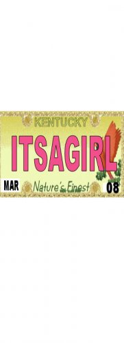 30 KENTUCKY License Plate GIRL Baby Shower Candy Bar Wrappers Hershey's Nugget Labels Party Favors