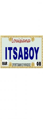 30 LOUISIANNA License Plate BOY Baby Shower Candy Bar Wrappers Hershey's Nugget Labels Party Favors