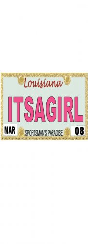 30 LOUISIANNA License Plate GIRL Baby Shower Candy Bar Wrappers Hershey's Nugget Labels Party Favors
