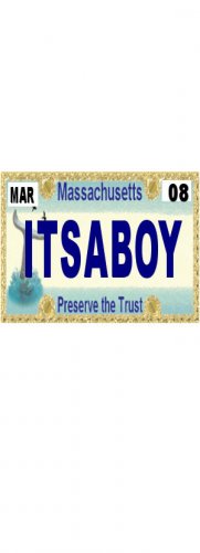 30 MASSACHUSETTS License Plate BOY Baby Shower Candy Bar Wrappers Hershey Nugget Labels Party Favors