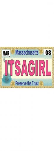 30 MASSACHUSETTS License Plate GIRL Baby Shower Candy Bar Wrappers Nugget Labels Party Favors