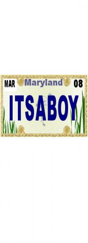 30 MARYLAND License Plate BOY Baby Shower Candy Bar Wrappers Hershey's Nugget Labels Party Favors