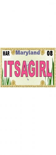 30 MARYLAND License Plate GIRL Baby Shower Candy Bar Wrappers Hershey's Nugget Labels Party Favors