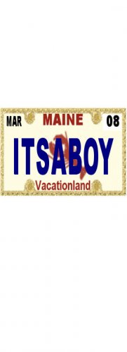 30 MAINE License Plate BOY Baby Shower Candy Bar Wrappers Hershey's Nugget Labels Party Favors