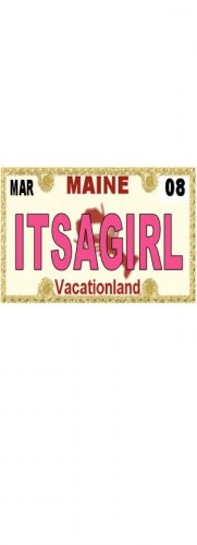 30 MAINE License Plate GIRL Baby Shower Candy Bar Wrappers Hershey's Nugget Labels Party Favors