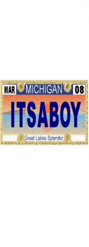 30 MICHIGAN License Plate BOY Baby Shower Candy Bar Wrappers Hershey's Nugget Labels Party Favors