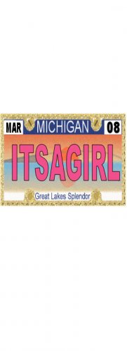 30 MICHIGAN License Plate GIRL Baby Shower Candy Bar Wrappers Hershey's Nugget Labels Party Favors